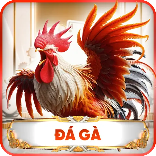 Đá Gà RR99: Đỉnh Cao Đam Mê Cho Người Chơi Kê Đấu 2025
